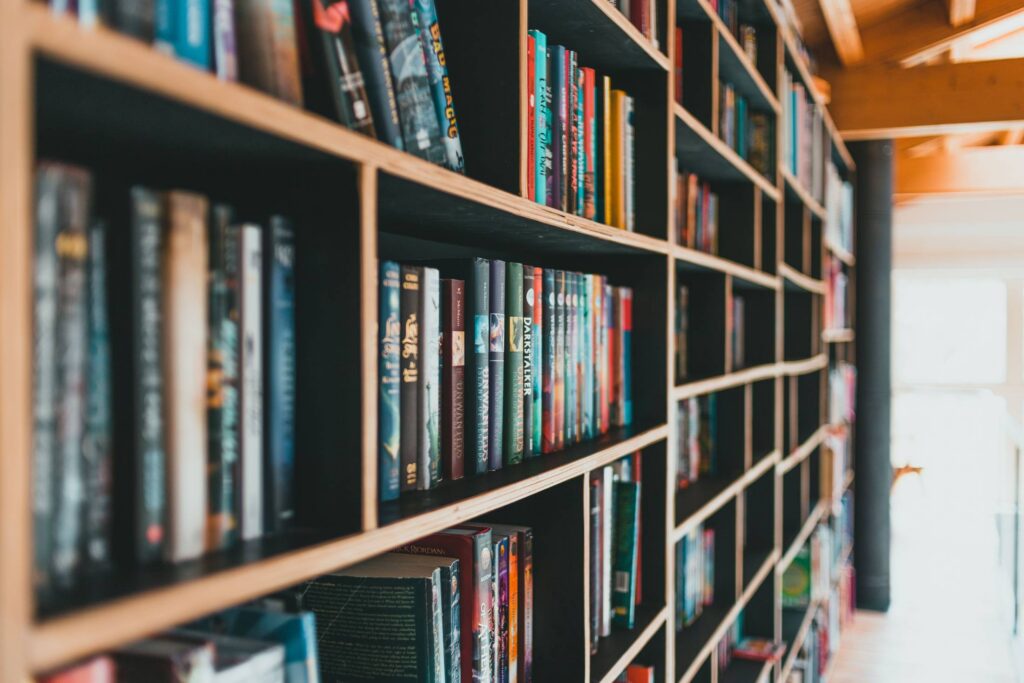The Publishing Conspiracy – an inspired rant pexels introspectivedsgn 8045884(1)