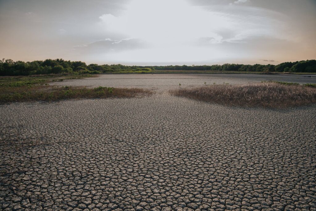 The Real Threats to Humanity pexels long ba mui 1130557677 21581676(1)
